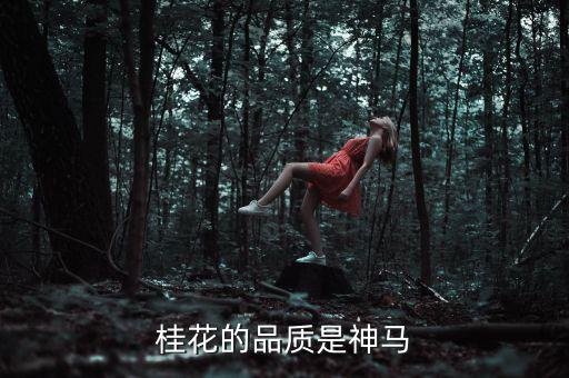 桂花的品质是神马