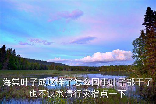 叶子成，小叶紫檀叶子成这样了该怎么处理