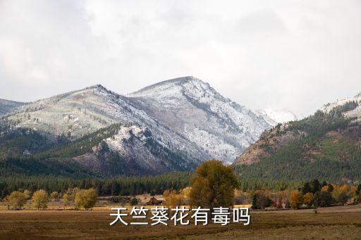 天竺葵花有毒吗