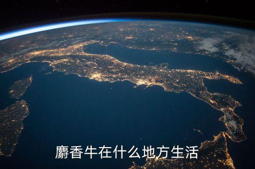 麝香牛在什么地方生活