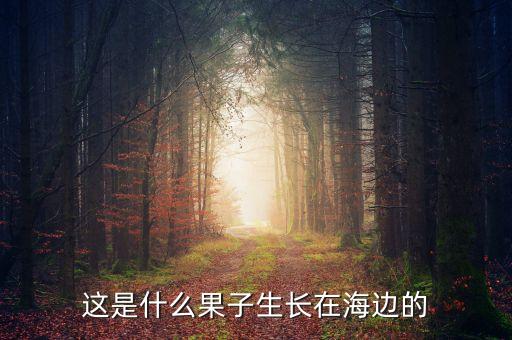 这是什么果子生长在海边的