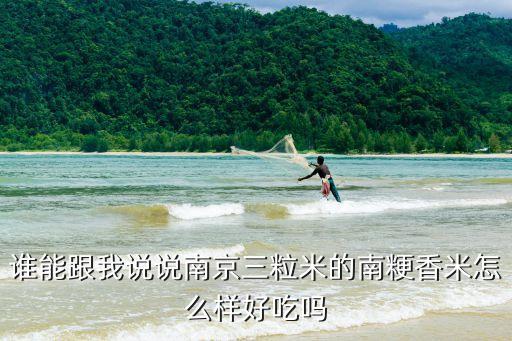 南粳9108，请问买南粳9108香米哪里有真空包装的