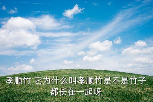 孝顺竹 它为什么叫孝顺竹是不是竹子都长在一起呀