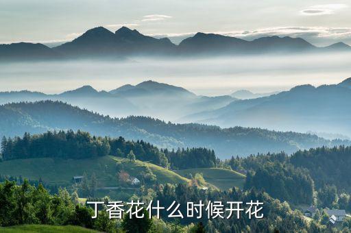 6月丁香，紫丁香什么时候盛开什么时候败
