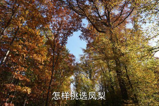 怎样挑选凤梨