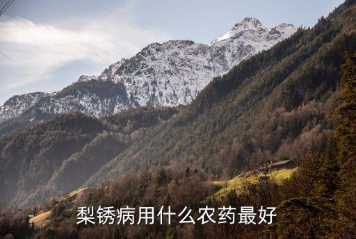 梨锈病用什么农药最好