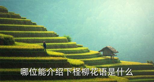 哪位能介绍下柽柳花语是什么