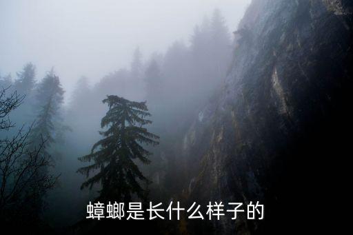 蟑螂长啥样，蟑螂张什么样