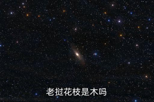 老挝花枝是木吗