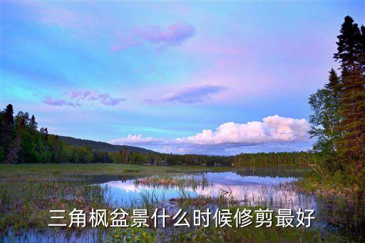 三角枫盆景什么时候修剪最好