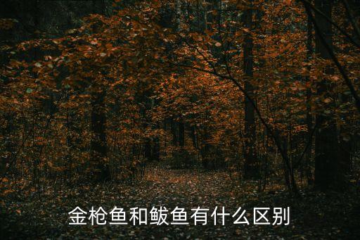 金枪鱼和鲅鱼有什么区别