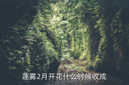 莲雾什么季节成熟，大叶红莲雾多久成熟一次
