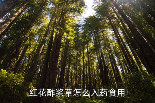 红花酢浆草怎么入药食用