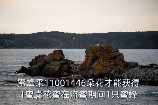 蜜囊，蜜蜂是如何发育而来的
