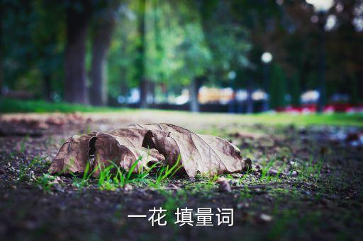 一什么花朵，一花 填量词