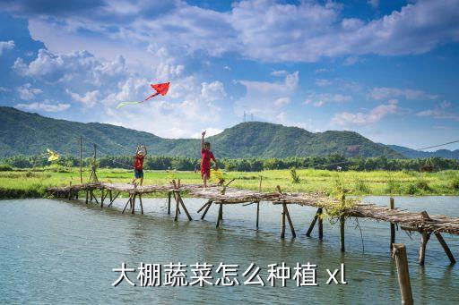 大棚蔬菜怎么种植 xl