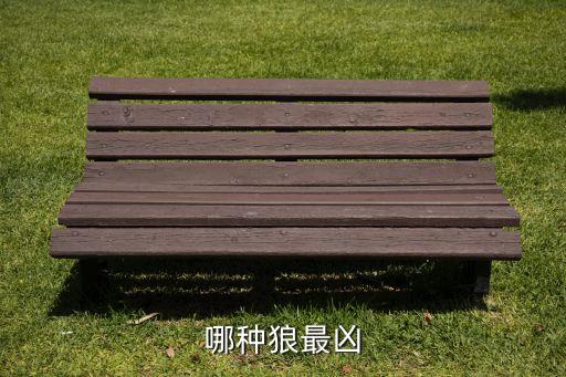 哪种狼最凶