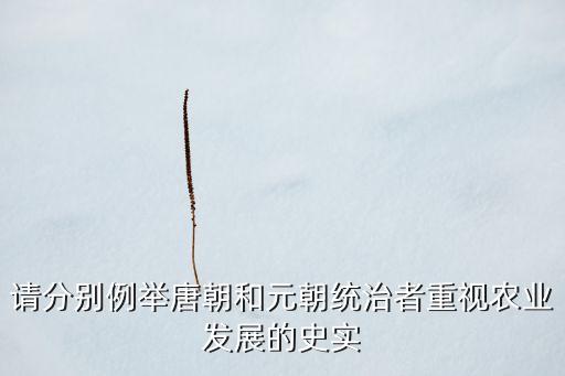 请分别例举唐朝和元朝统治者重视农业发展的史实