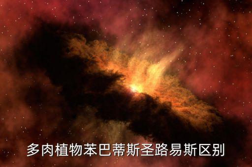 苯巴蒂斯，多肉植物苯巴蒂斯圣路易斯区别