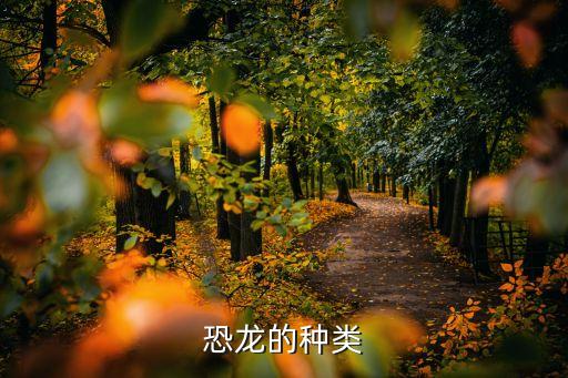 龙分为哪几种，中国龙有几种分类