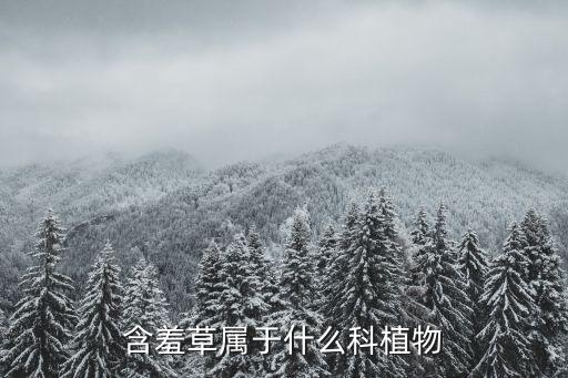 含羞草属于什么科植物