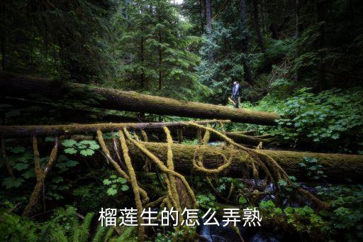 生榴莲怎么催熟，榴莲生的怎么弄熟