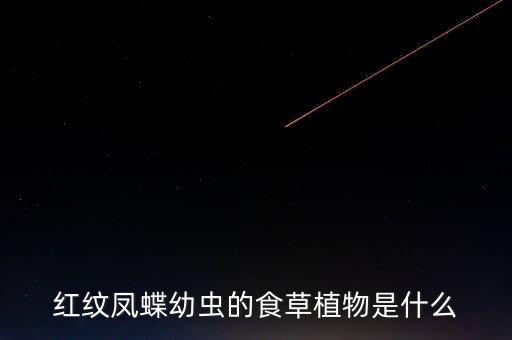 凤蝶幼虫，红纹凤蝶幼虫的食草植物是什么