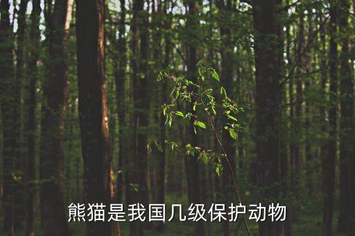 熊猫是我国几级保护动物