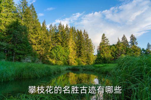 攀枝，四川攀枝花市以前叫渡口为什么现在叫攀枝花