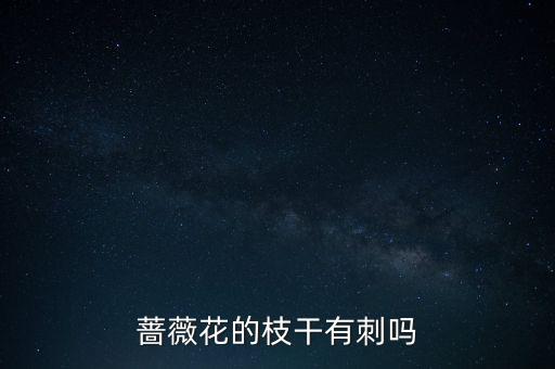 蔷薇花的枝干有刺吗