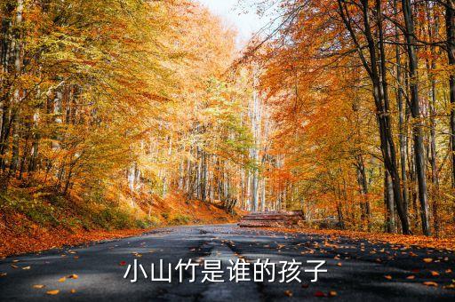 小山竹，爸爸去哪儿第五季的小山竹本名什么