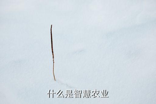 什么是智慧农业