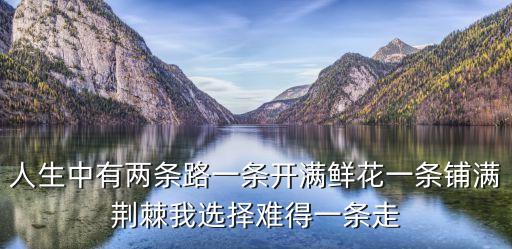 人生中有两条路一条开满鲜花一条铺满荆棘我选择难得一条走