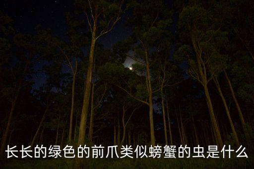 蝼蛄科，长长的绿色的前爪类似螃蟹的虫是什么