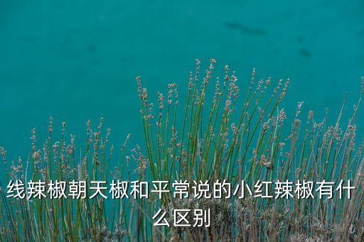 线椒，在家怎么腌制线椒好吃