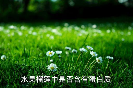 榴莲含蛋白质高吗，榴莲是不是含大量的蛋白质