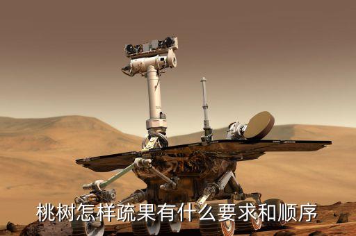 桃树怎样疏果有什么要求和顺序