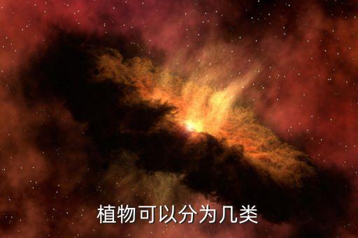 植物可以分为几类