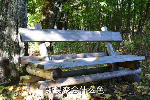 蜥蜴变会什么色