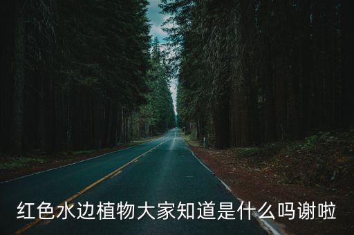 碱蓬草，红色水边植物大家知道是什么吗谢啦