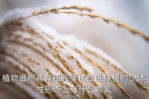 植物细胞具有细胞壁这在维持植物个体性形态上有什么意义