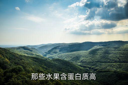 那些水果含蛋白质高