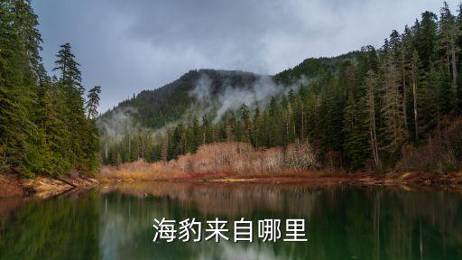食蟹海豹，最兴盛的鳍脚动物家族是什么