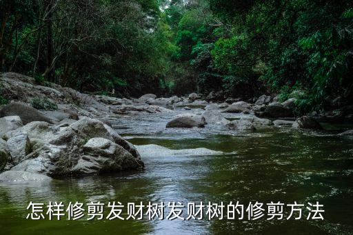 发财树如何修剪，发财树怎么修剪