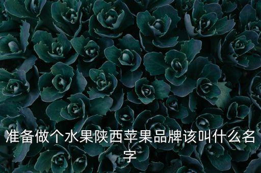 准备做个水果陕西苹果品牌该叫什么名字