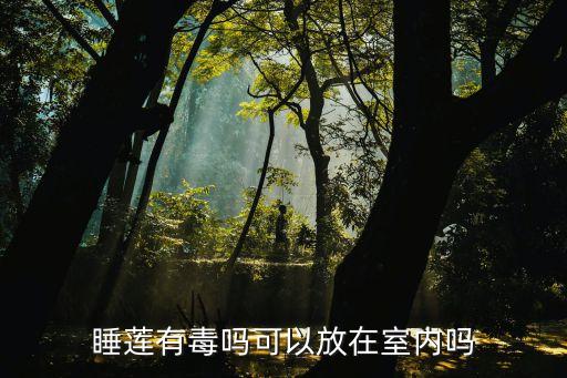 睡莲有毒吗可以放在室内吗