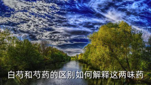 白芍和芍药的区别如何解释这两味药