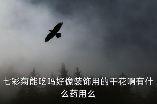 七彩菊能吃吗好像装饰用的干花啊有什么药用么