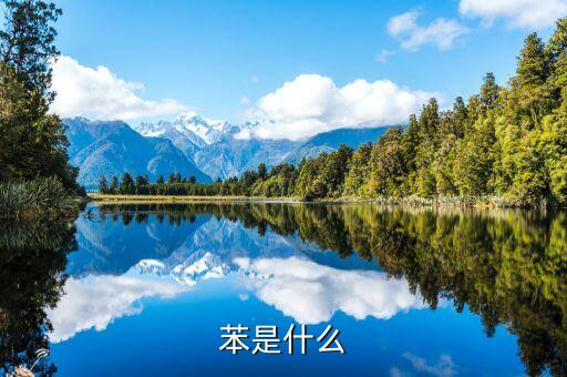 苯是什么