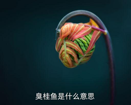 臭桂鱼是什么意思